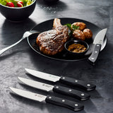 Cuisine::pro® WOLFGANG STARKE™ 4-Piece Steak Knife Set 12.5cm 5in