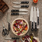 Cuisine::pro® WOLFGANG STARKE™ Kutchin 11 Piece Knife Block