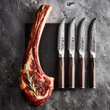 Cuisine::pro® Damashiro® EMPEROR 4-Piece Steak Knife Set 12.5cm 5in