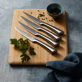 Cuisine::pro® Damashiro® 4 Piece Steak Knife Set 11.5cm/4.5in